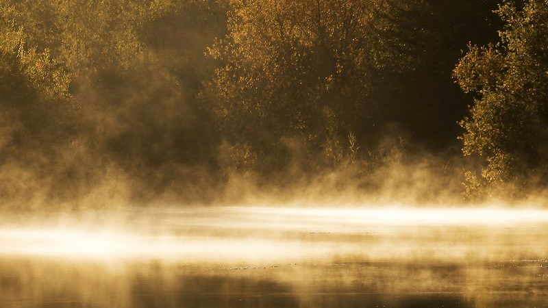 Exposition « Aqua Songe ? » par Franny Tay du 2 au 22 juin 2023