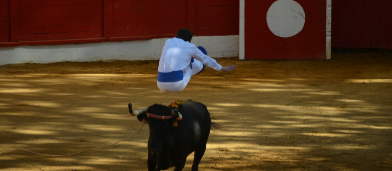 Retour des arènes démontables dans le cadre de Pentecôtavic 2023 !