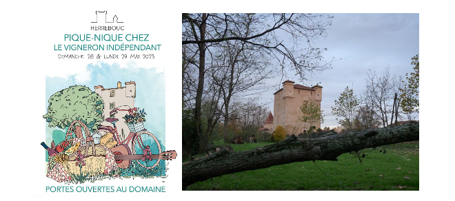 Capture d’écran 2023-05-23 225642.png