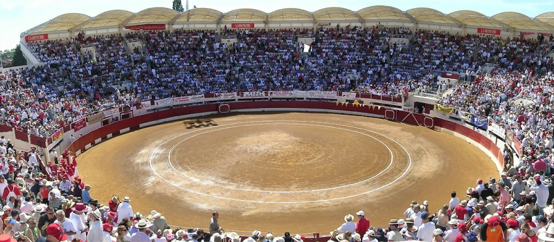 A découvrir jeudi soir, l'envers du décor de la feria del toro 2023