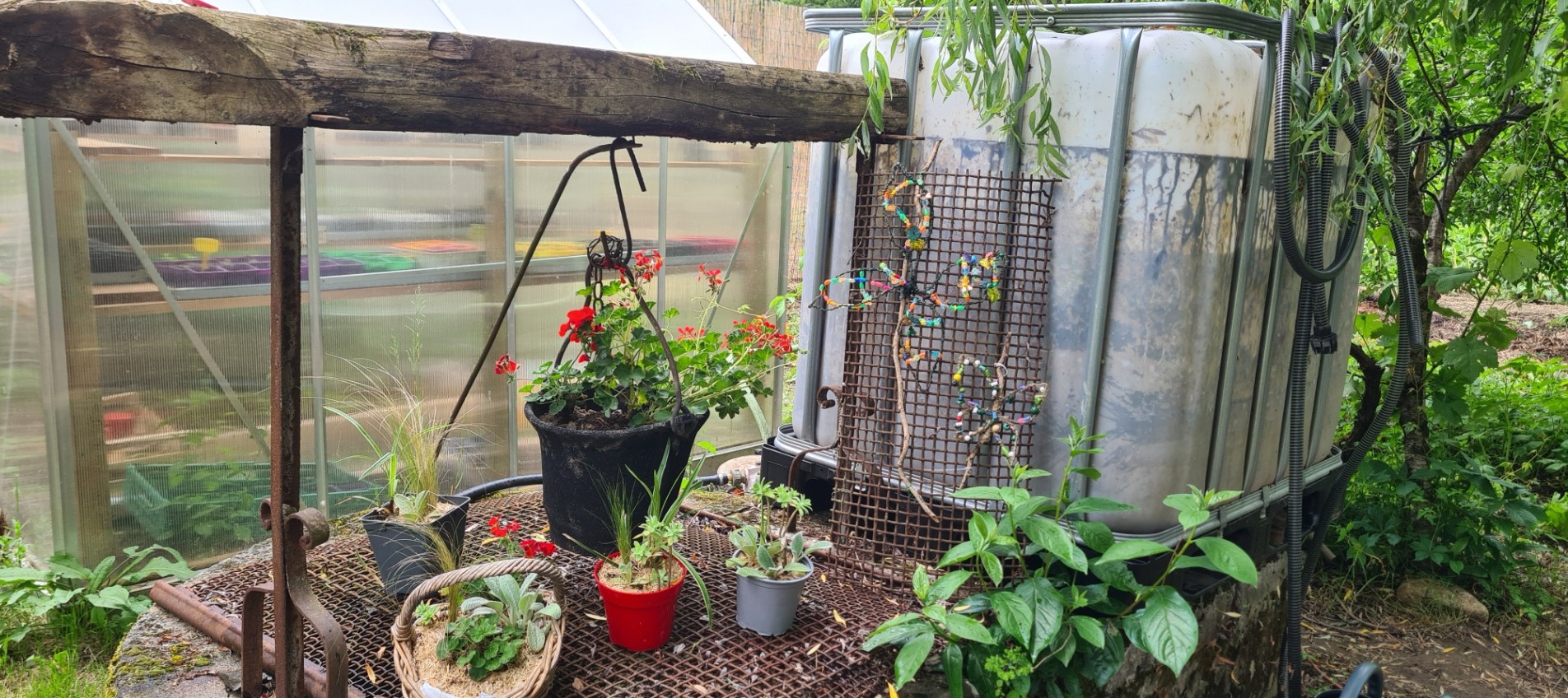 jardin partage.jpg