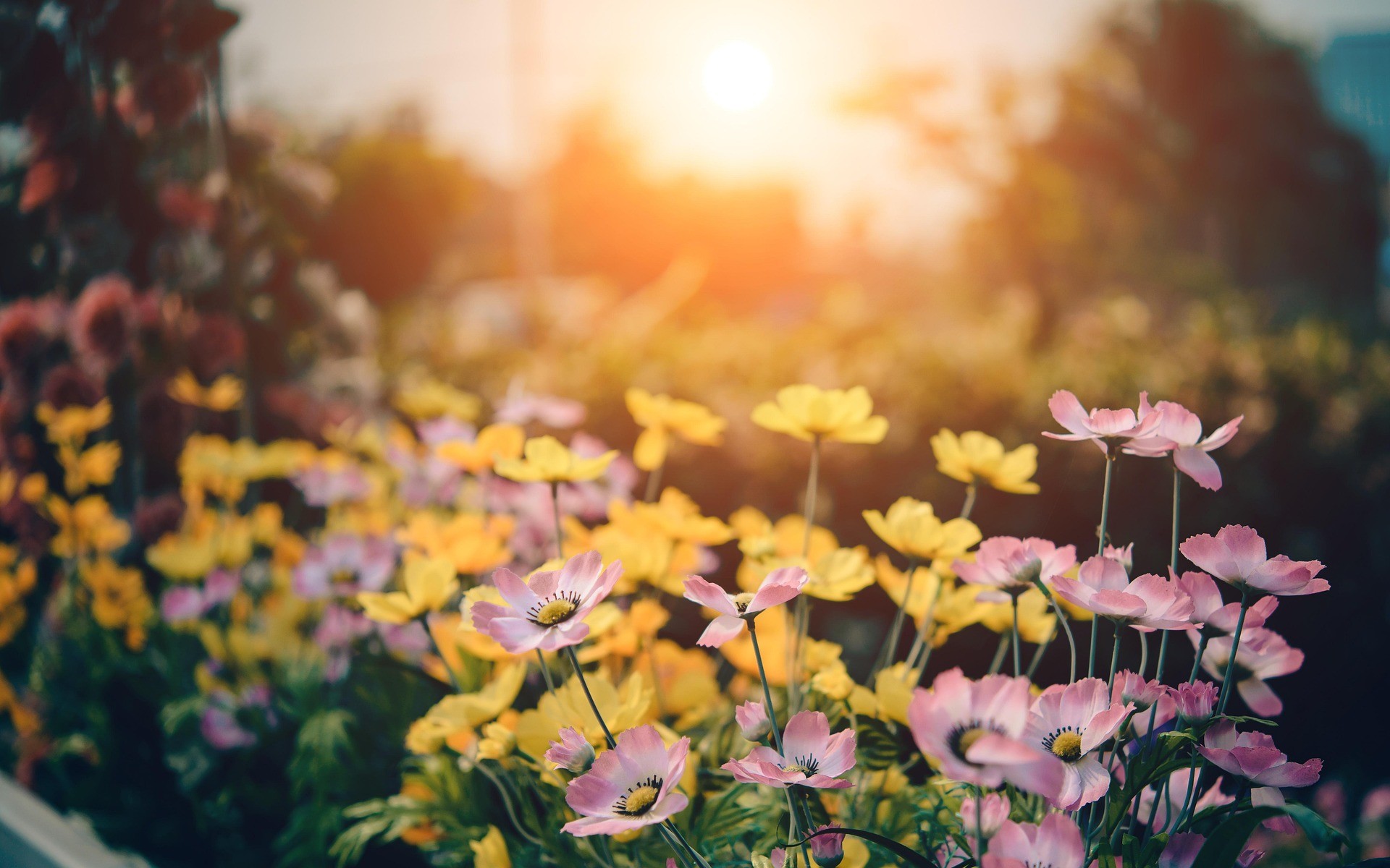 008.ART_Rdv aux jardins_Pixabay.jpg