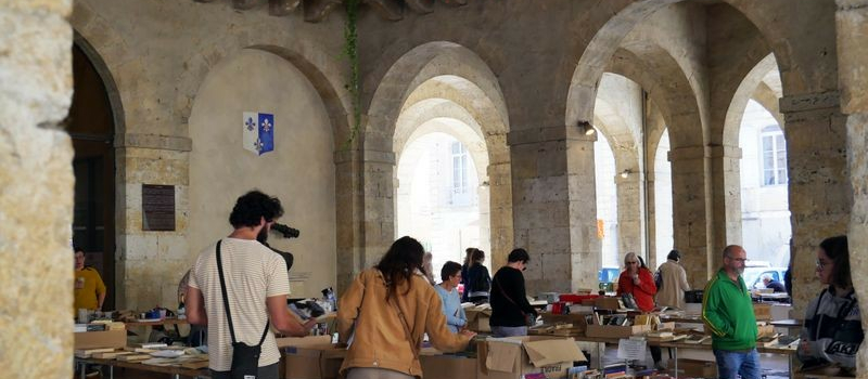 Vide-bibliothèque et cultures geeks à Fleurance
