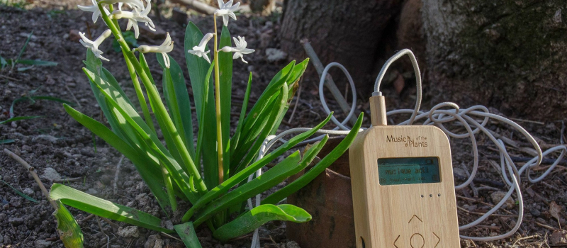 Rendez-vous avec la musique des plantes au Musée du Paysan gascon à Toujouse