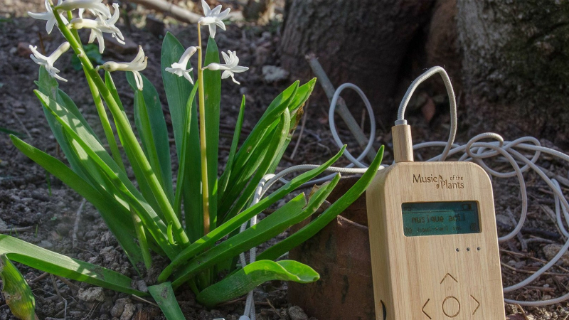 Rendez-vous avec la musique des plantes au Musée du Paysan gascon à Toujouse