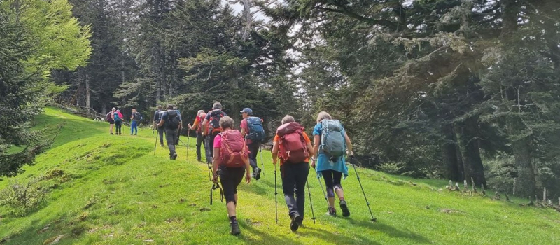 Les Marmottes s'adaptent à la météo