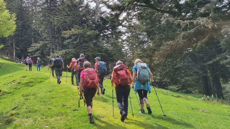 Les Marmottes s'adaptent à la météo
