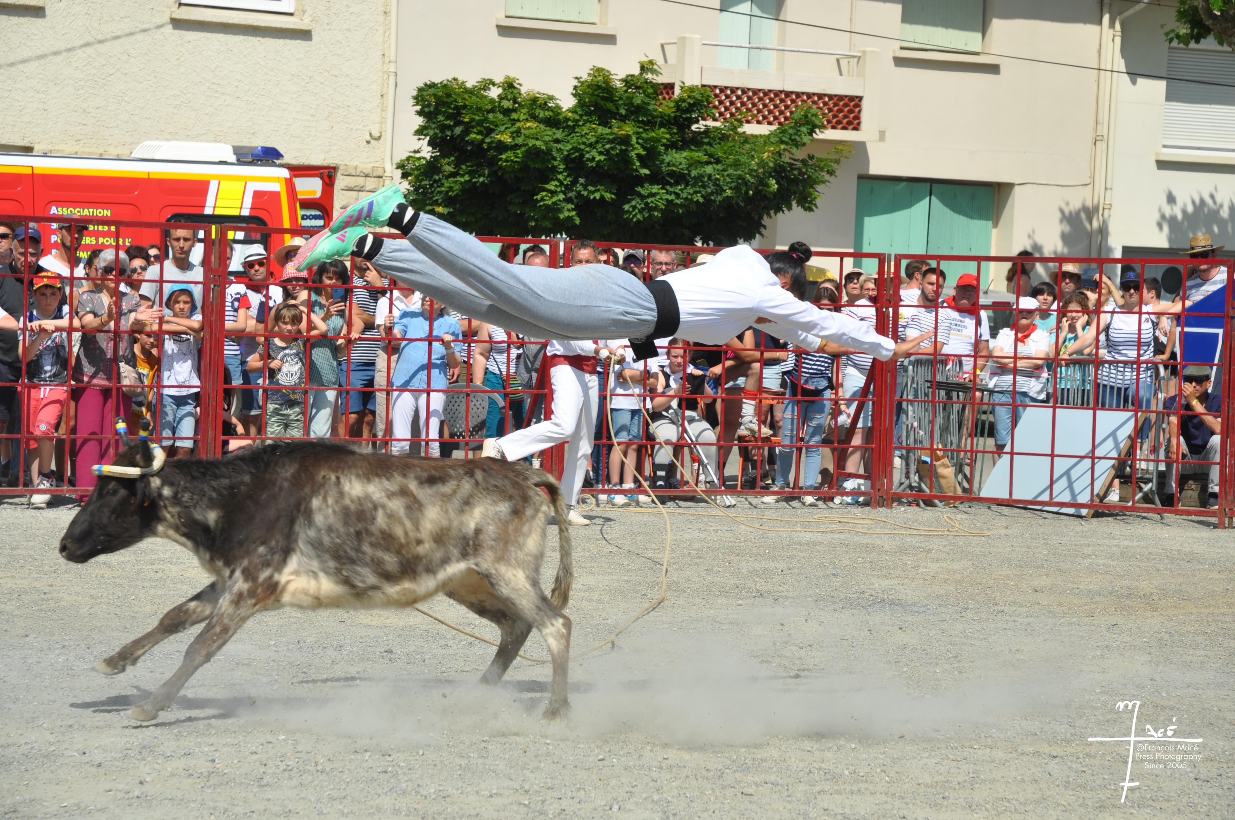 DSC_0223.jpg