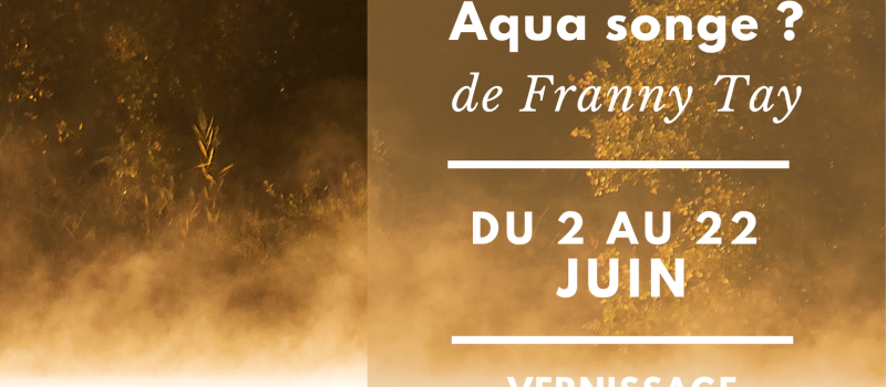 Annulation de l'expo "aqua songe" de Franny Tay