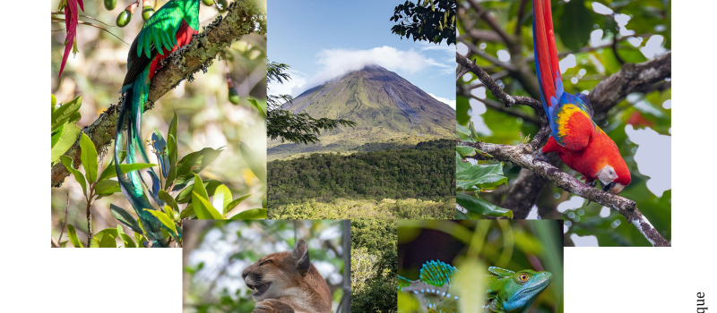 Une exposition à ne pas manquer...un voyage photographique merveilleux au Costa Rica !
