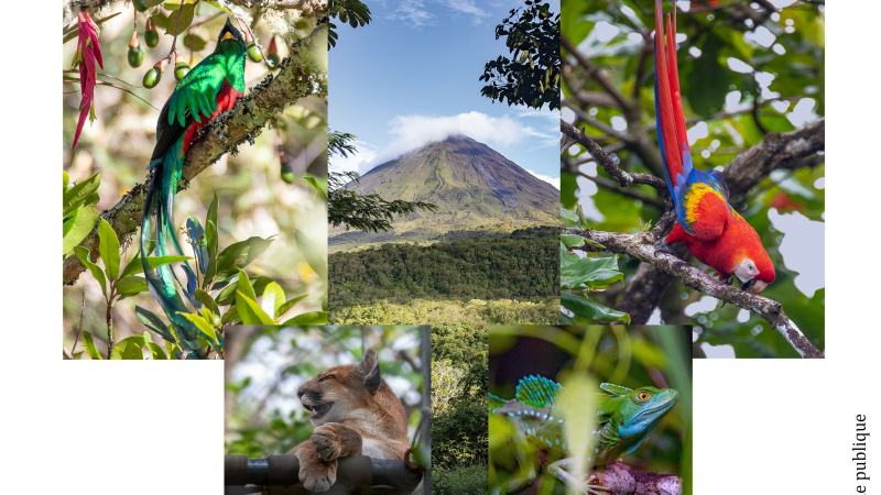 Une exposition à ne pas manquer...un voyage photographique merveilleux au Costa Rica !