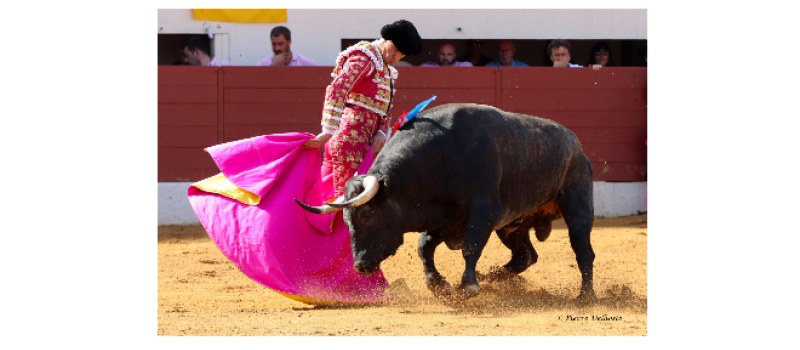 Feria del toro 2023 : retour sur la journée de lundi  par le président du Club Taurin Vicois, André Cabannes