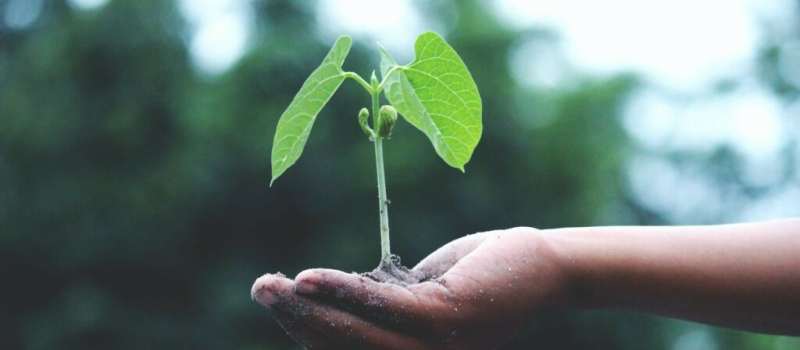 Eco Tempo invite les commerçants : l’occasion de s’impliquer et s’engager dans des actions durables