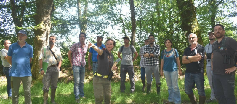 Le bois du Marais, un site exceptionnel à préserver