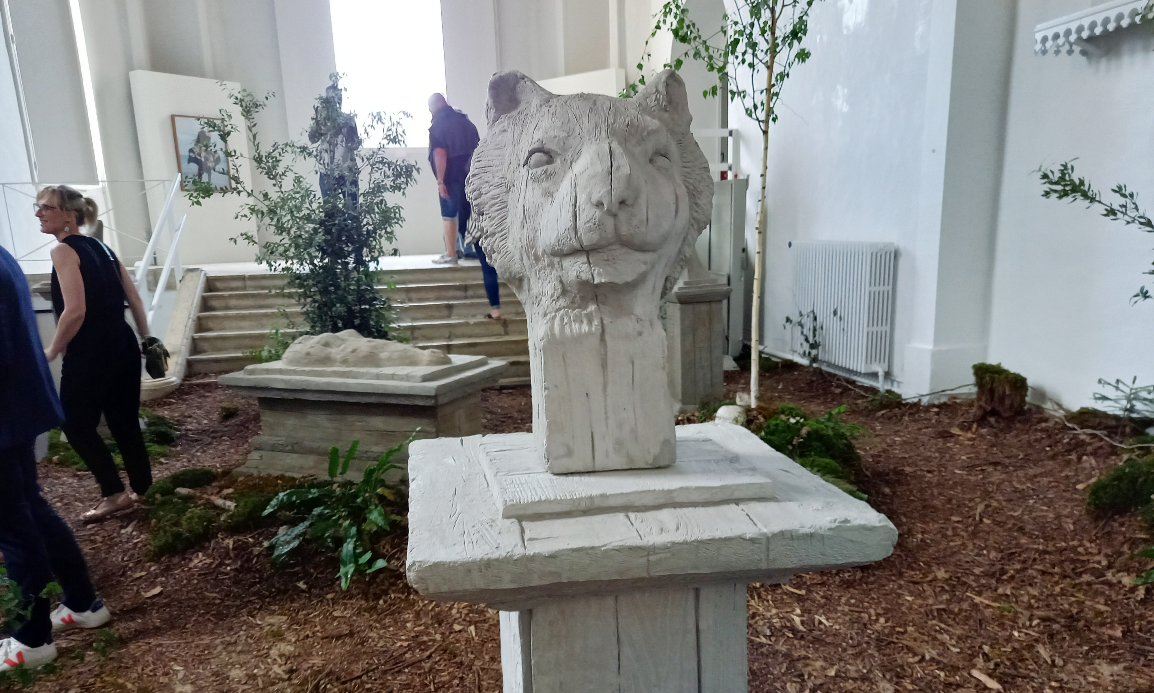 20230609_190905.jpg