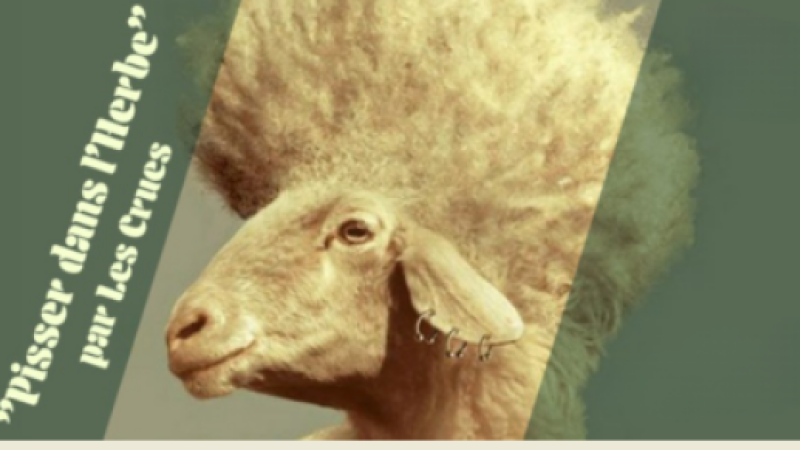 Théâtre les vendredis 16 juin et 23 juin