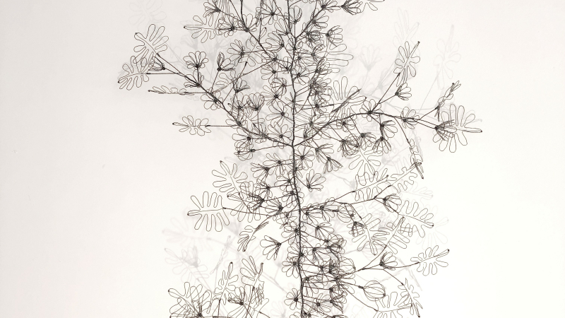 exposition à la médiathèque de Seissan