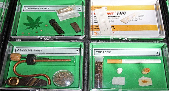 hhc canabis.jpg