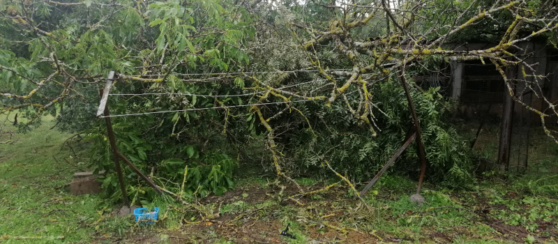 Alerte orages : numéro de permanence réactivé