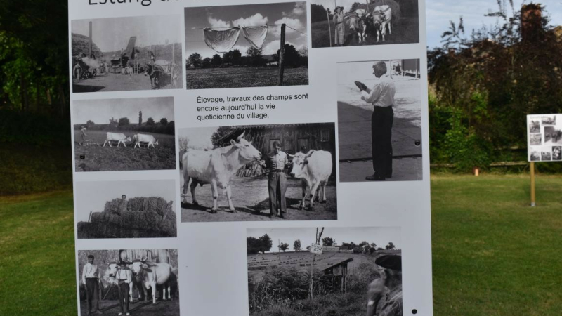 Les Gens d'Ici, exposition de photographies