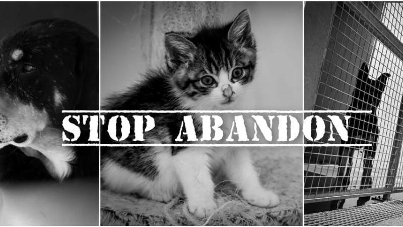 Journée mondiale contre l'abandon des animaux de compagnie