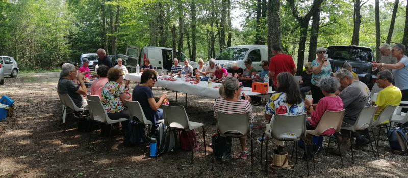Section marche santé du club de gymnastique volontaire : le bois de Mazous comme cadre pour la dernière marche de la saison