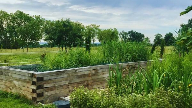 Assainissement des eaux usées de la maison par les plantes.