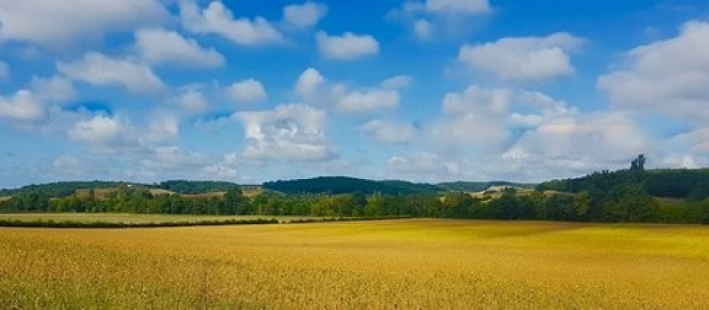 Un nouveau procès pour délit de protection de la nature