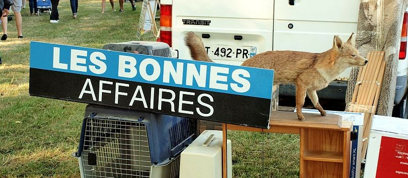 Passionnés de vide-greniers ils vous attendent