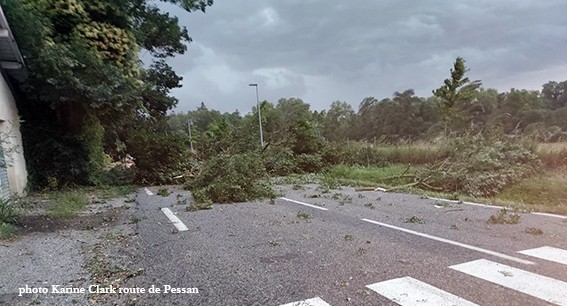 route coupee. pessan.jpg