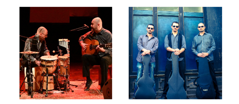 Festival de guitare à Roques mercredi et jeudi !