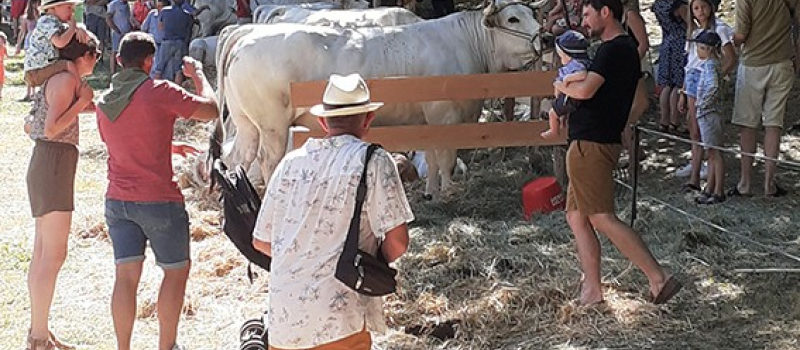 Foire de la Madeleine: 5ème édition dans sa nouvelle version