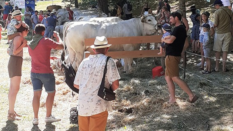 Foire de la Madeleine: 5ème édition dans sa nouvelle version