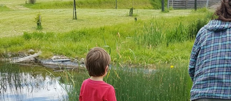 La mare juste une flaque d’eau ?