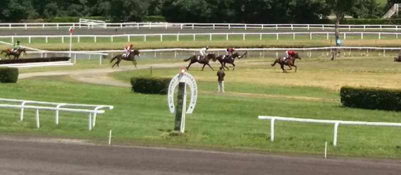 La saison hippique bat son plein