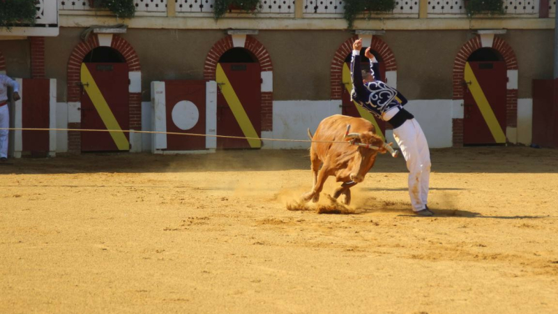 Course landaise