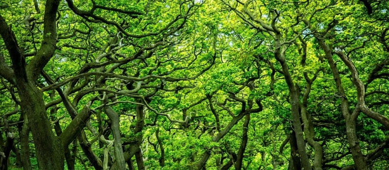 Les mardis de l’été : Vania ! D’après Tchekhov par la compagnie Gilles Bouillon