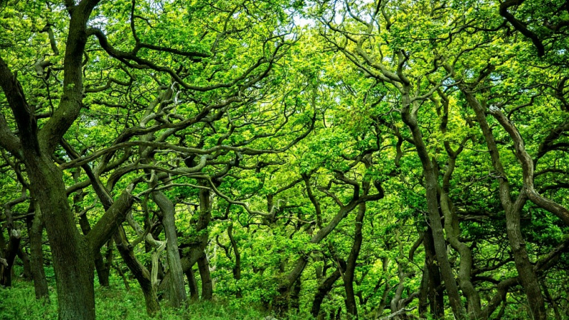 Les mardis de l’été : Vania ! D’après Tchekhov par la compagnie Gilles Bouillon