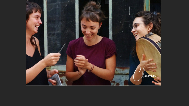 Concert très original samedi 12 août au Musée du Paysan Gascon de Toujouse