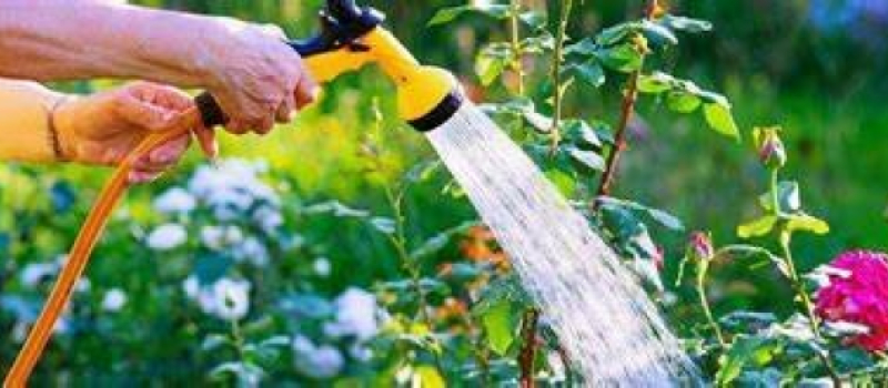 Économie d’eau : « Chaque geste compte. »