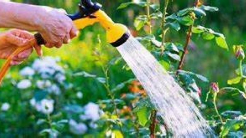 Économie d’eau : « Chaque geste compte. »