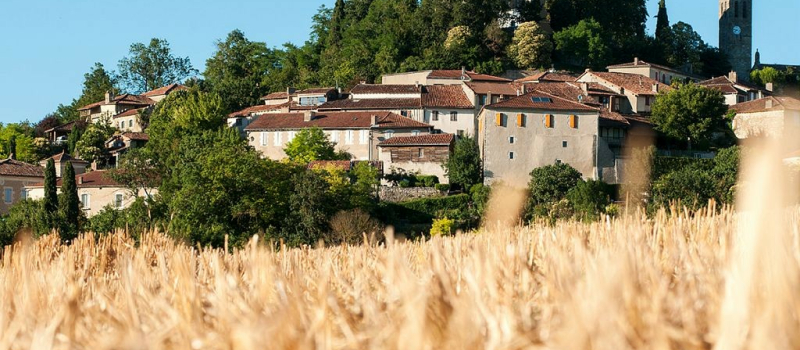 Sur les chemins de randonnée...