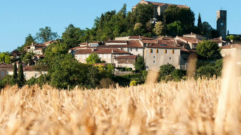 Sur les chemins de randonnée...