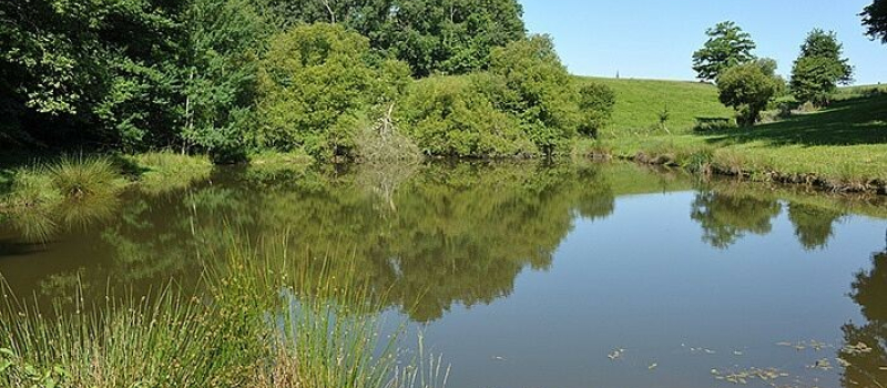 Découvrez l'Adour autrement !