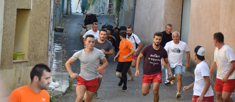 La fête se prépare