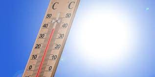 canicule 40.jpg
