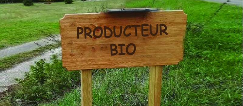 Agriculture biologique dispositif de soutien mis en place