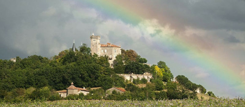 Le chemin de Saint-Jacques de Compostelle à l'honneur cet été