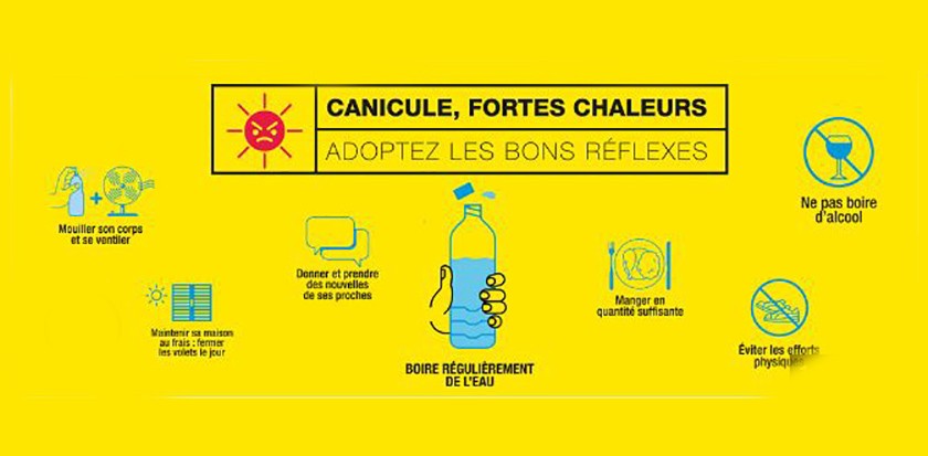 canicule reflexes.JPG