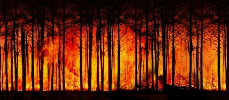 Sécurité, lutte contre les feux de forêt : des moyens supplémentaires pour le Gers